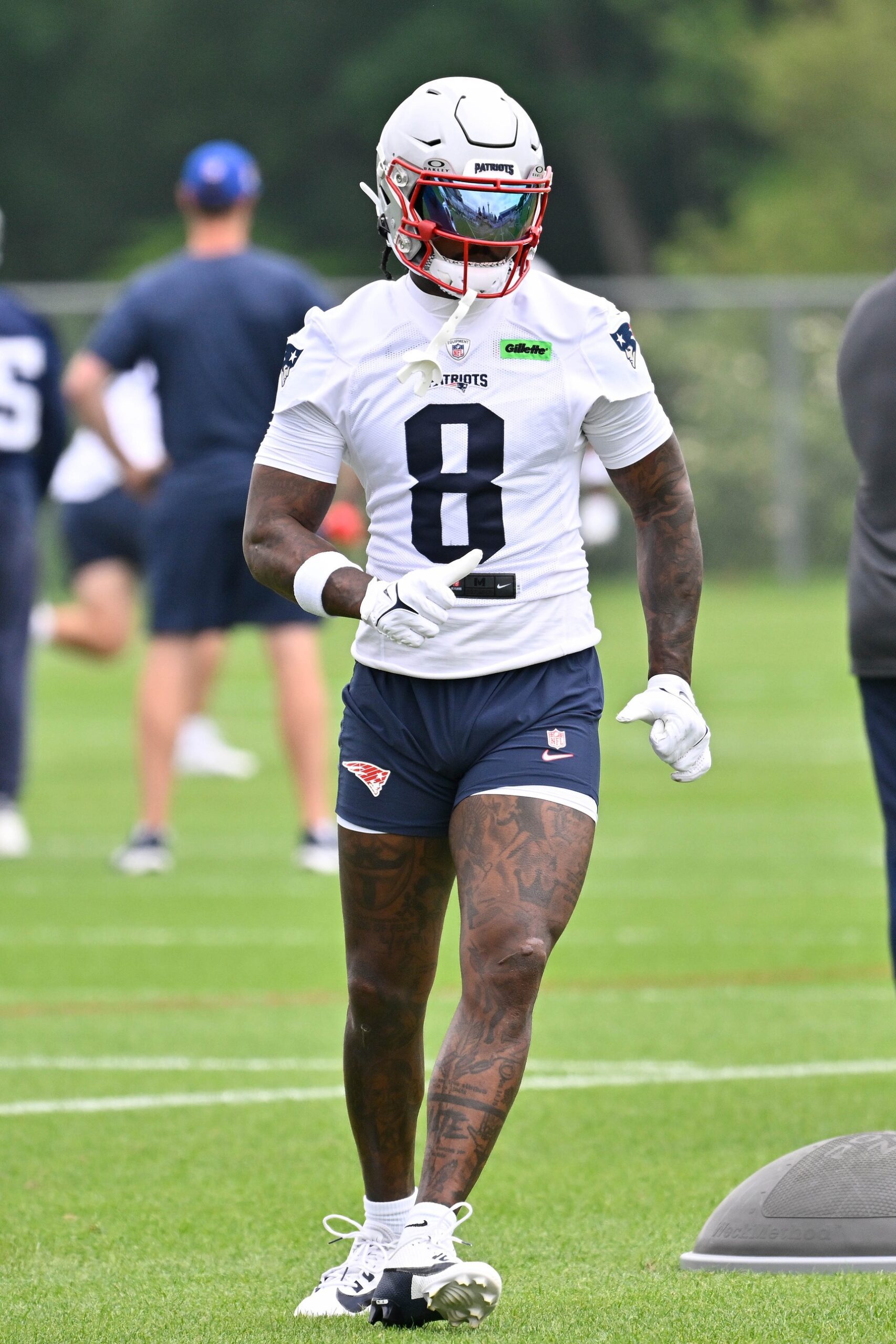 NFL Analysis Flags Patriots' Gamble on Stefon Diggs--Here's Why It's a Risky Move 1 New England Patriots, Stefon Diggs