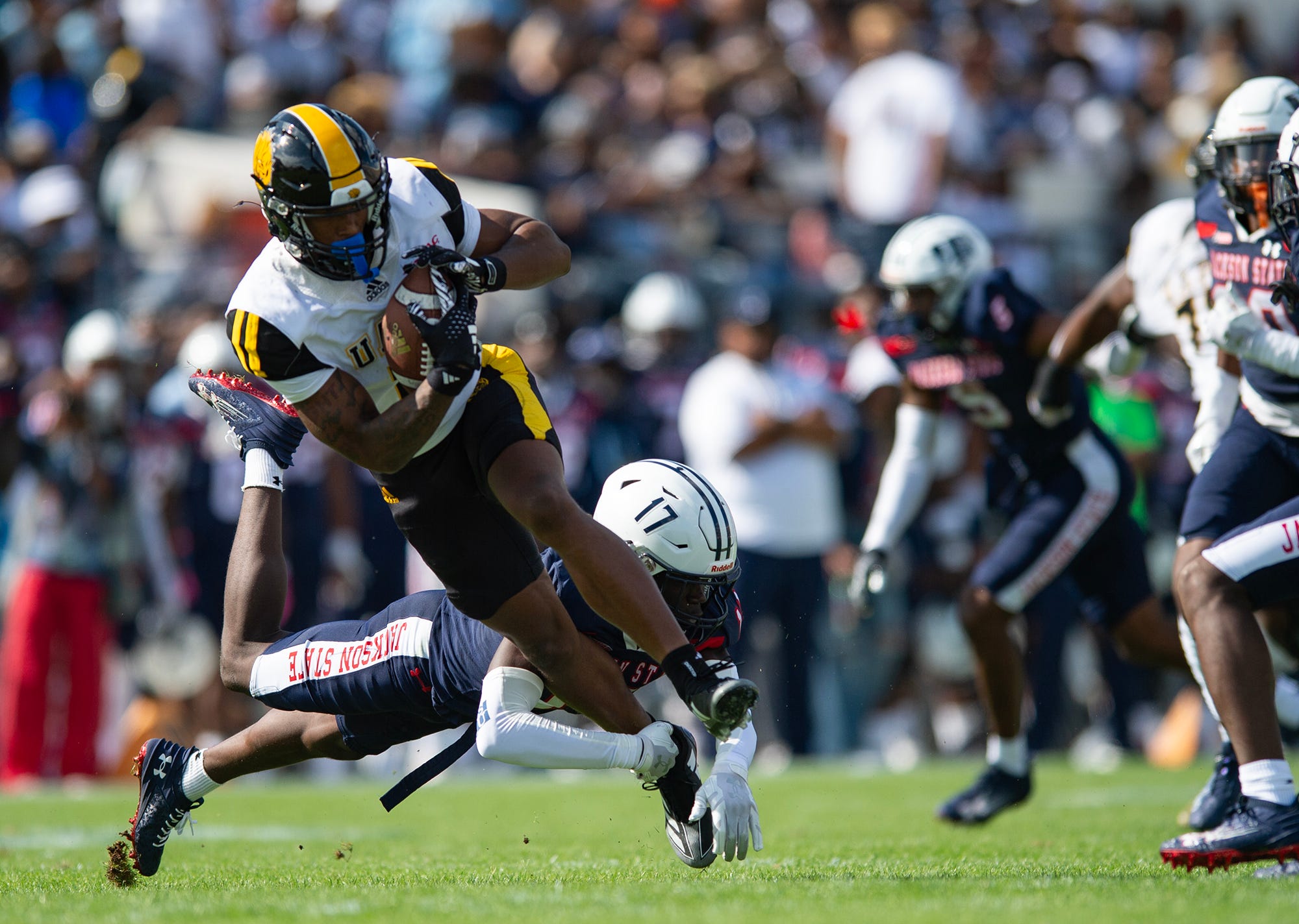 Arkansas-Pine Bluff Golden Lions, Javonnie Gibson