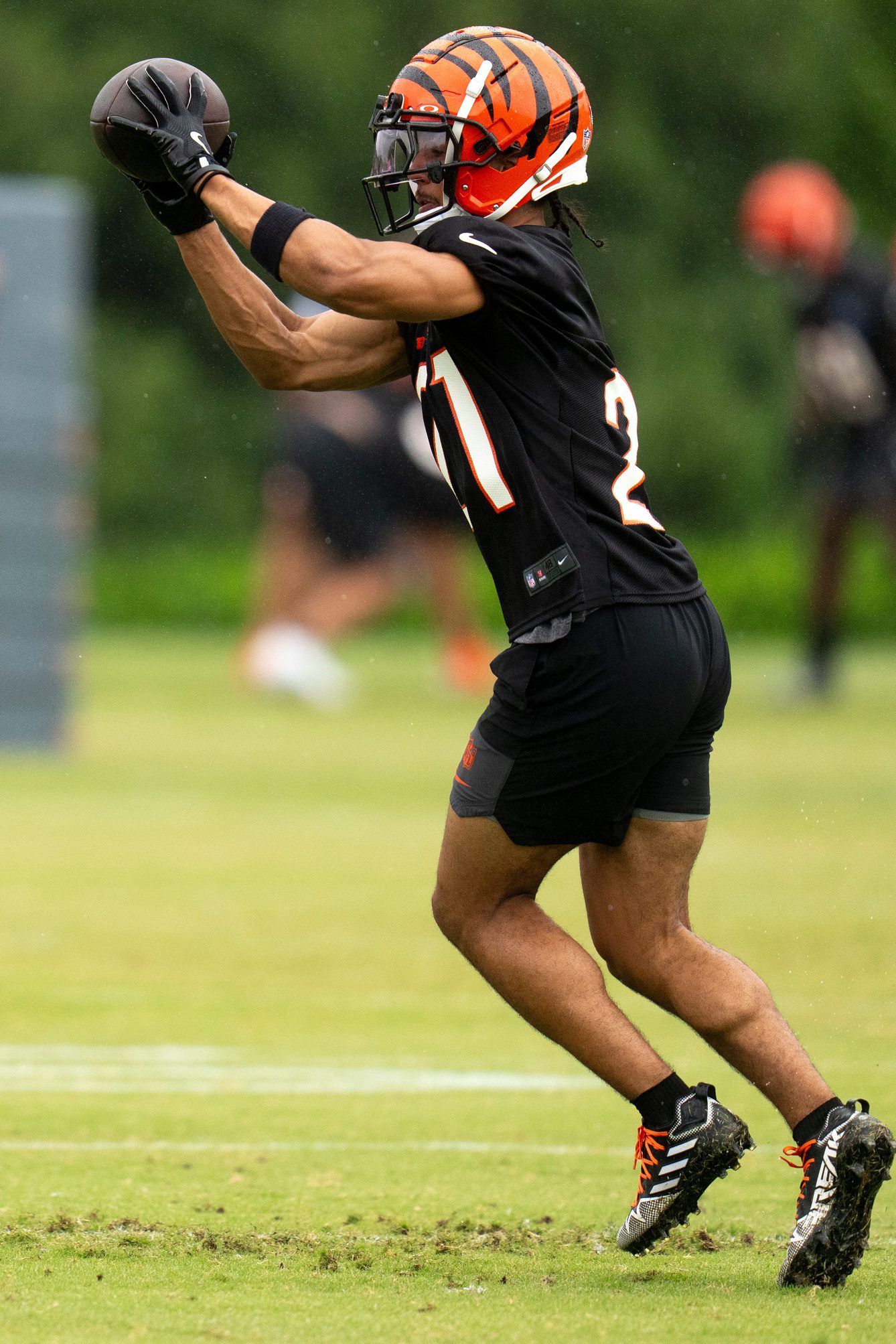 Cincinnati Bengals: Cut Offensive Weapon Dealing With Neck Injury 2 Cincinnati Bengals, Zack Moss