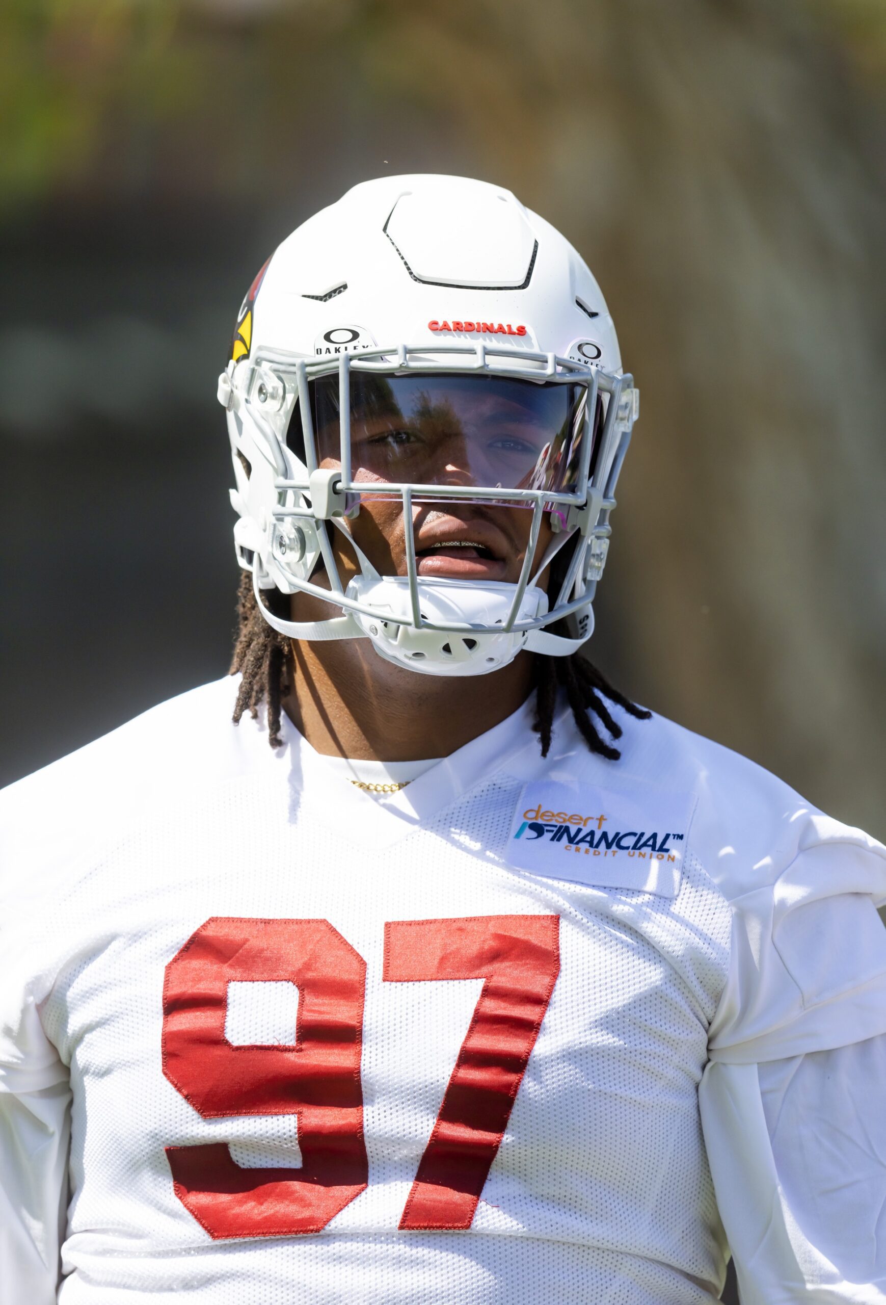 Arizona Cardinals, Walter Nolen