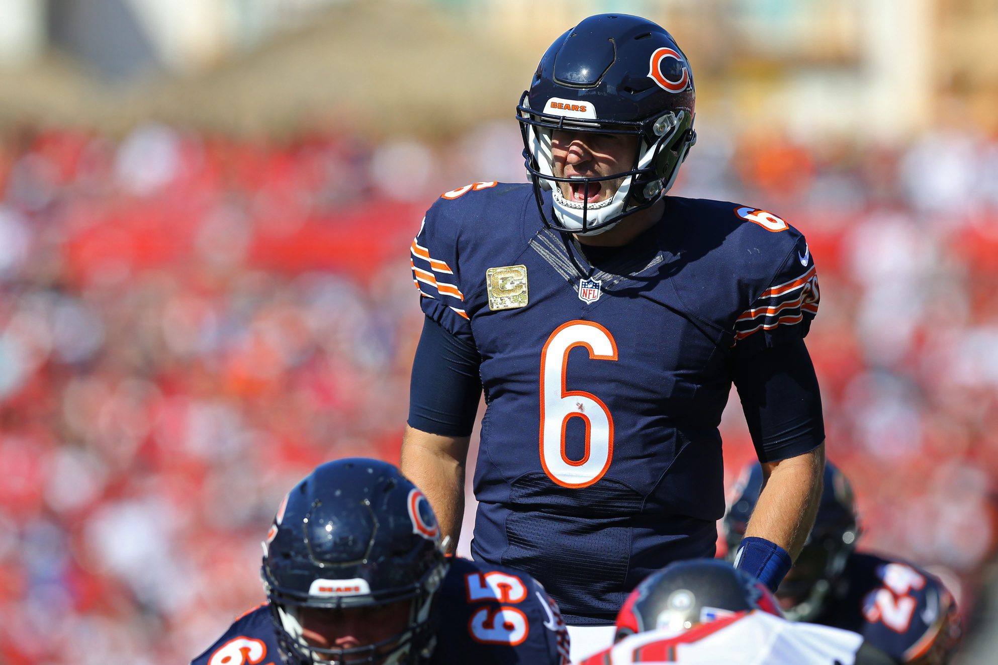 "How Is This Okay?" 12-Year NFL Quarterback "Canceled" After Shooting Endangered Animal In Africa (Picture) 3 Nov 13, 2016; Tampa, FL, USA; Chicago Bears quarterback Jay Cutler (6) against the Tampa Bay Buccaneers at Raymond James Stadium. The Buccaneers won 36-10. Mandatory Credit: Aaron Doster-Imagn Images