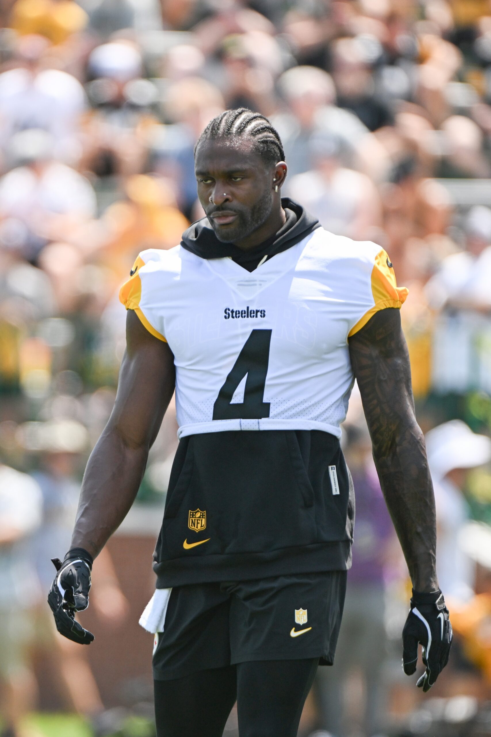 ‘I’m a Little Salty’: Steelers' DK Metcalf Wants Aaron Rodgers to Know This 2 Pittsburgh Steelers, DK Metcalf