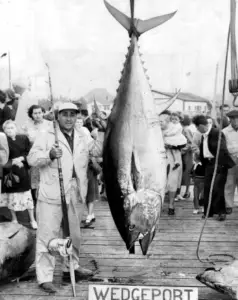 Big Tuna - bosa brothers great grandfather