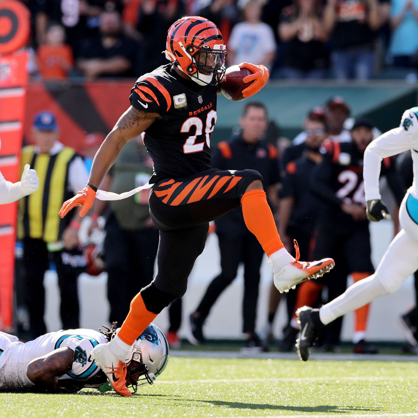 Cincinnati Bengals Face Odd Rumors About 2024 RBs