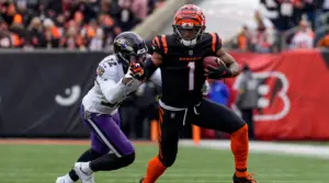 Cincinnati Bengals (Photo Credits: Sam Greene/USA TODAY NETWORK)