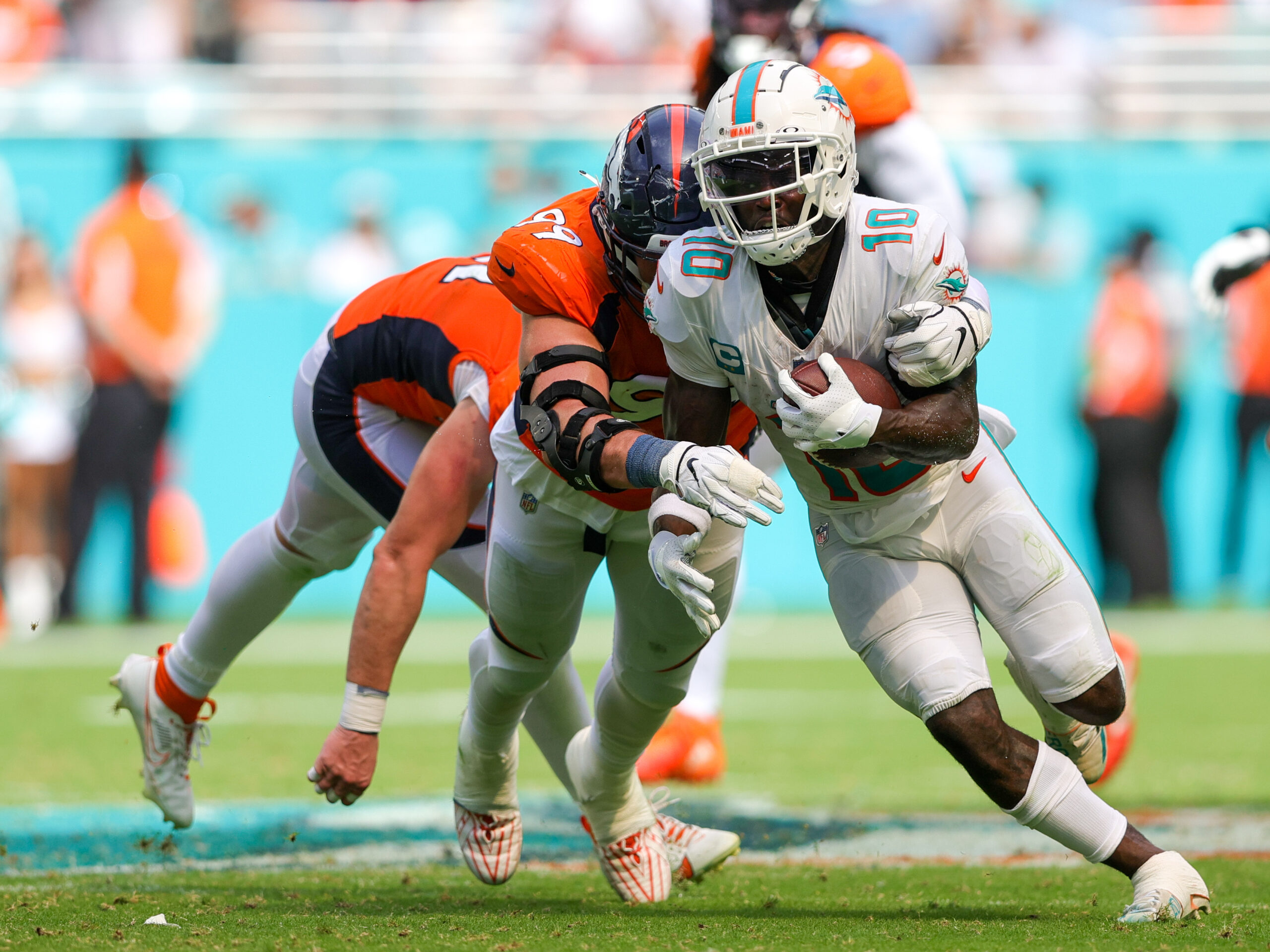 Dolphins the new greatest show on turf, Sports