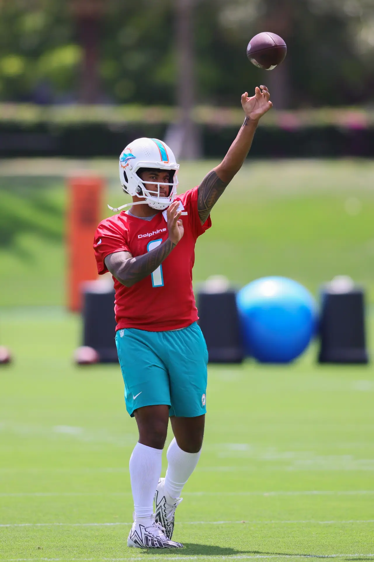 Miami Dolphins, Tua Tagovailoa, NFL