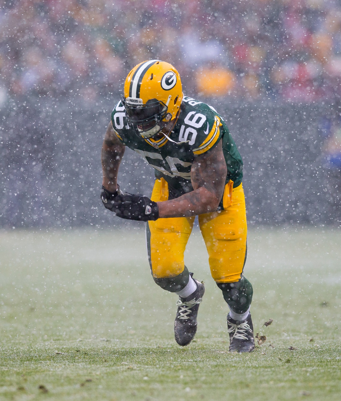 Green Bay Packers, Julius Peppers