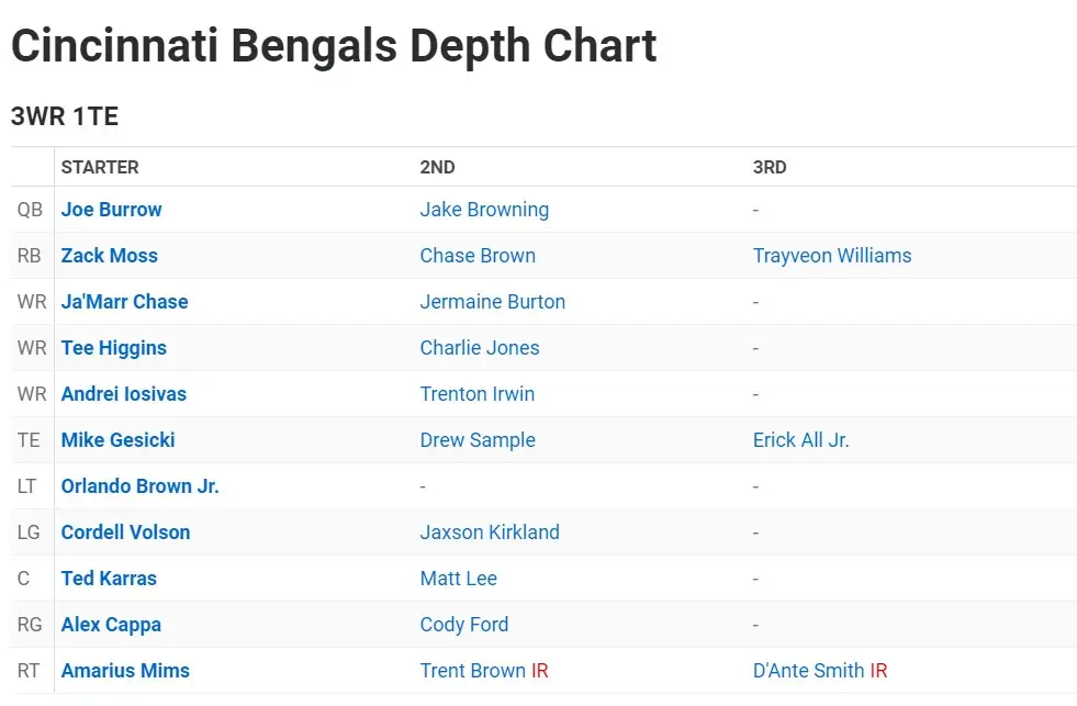 Bengals Depth Chart