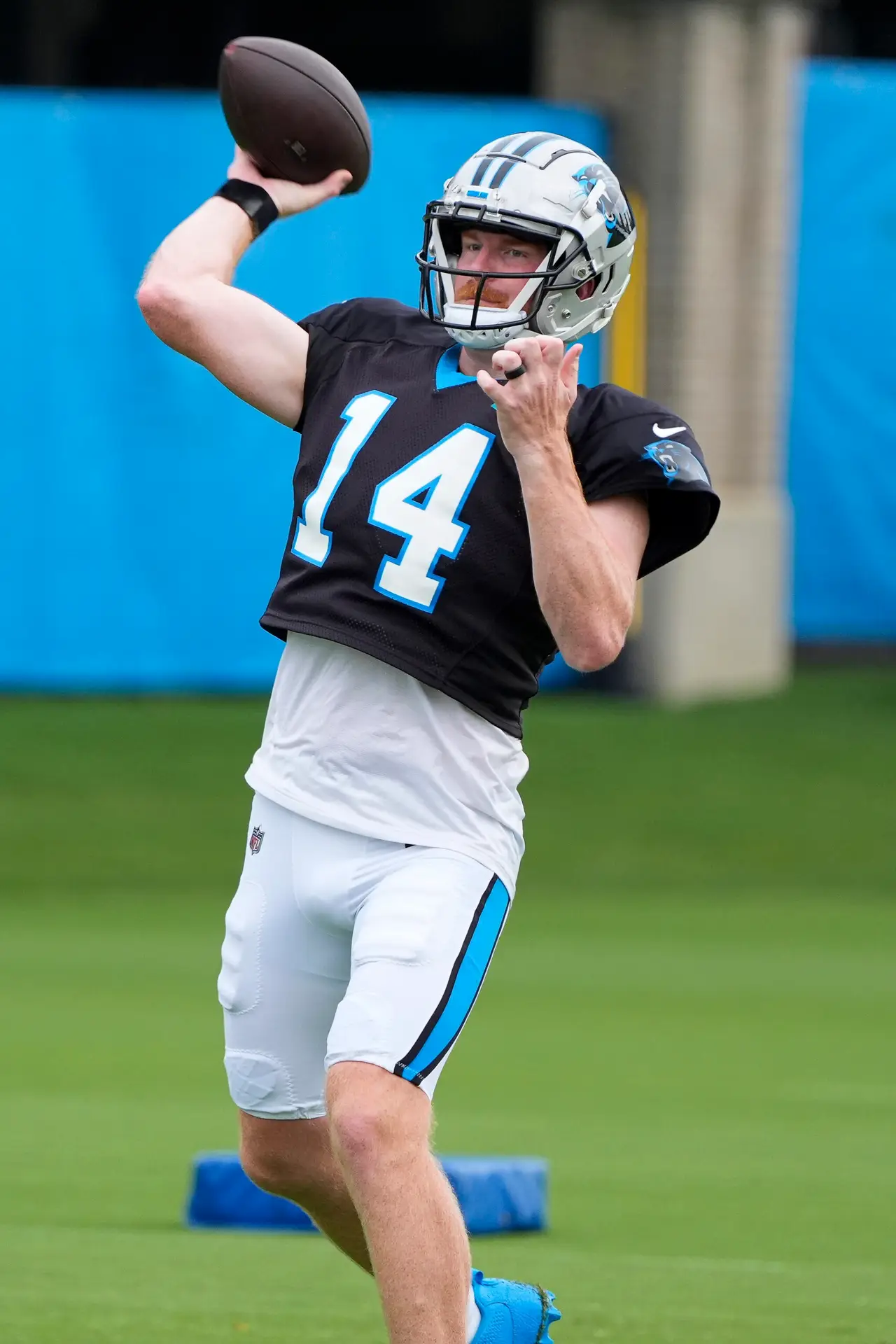 Carolina Panthers, Andy Dalton, NFL