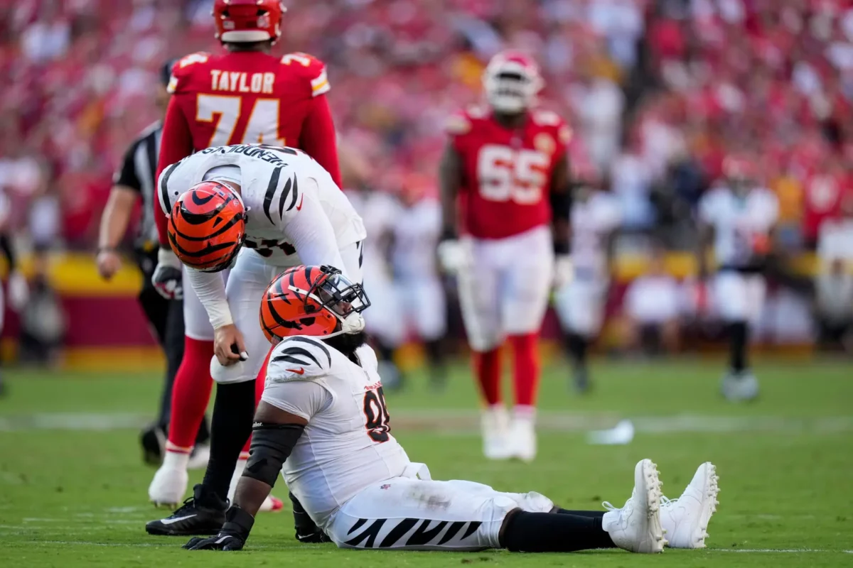 cincinnati bengals sheldon rankins