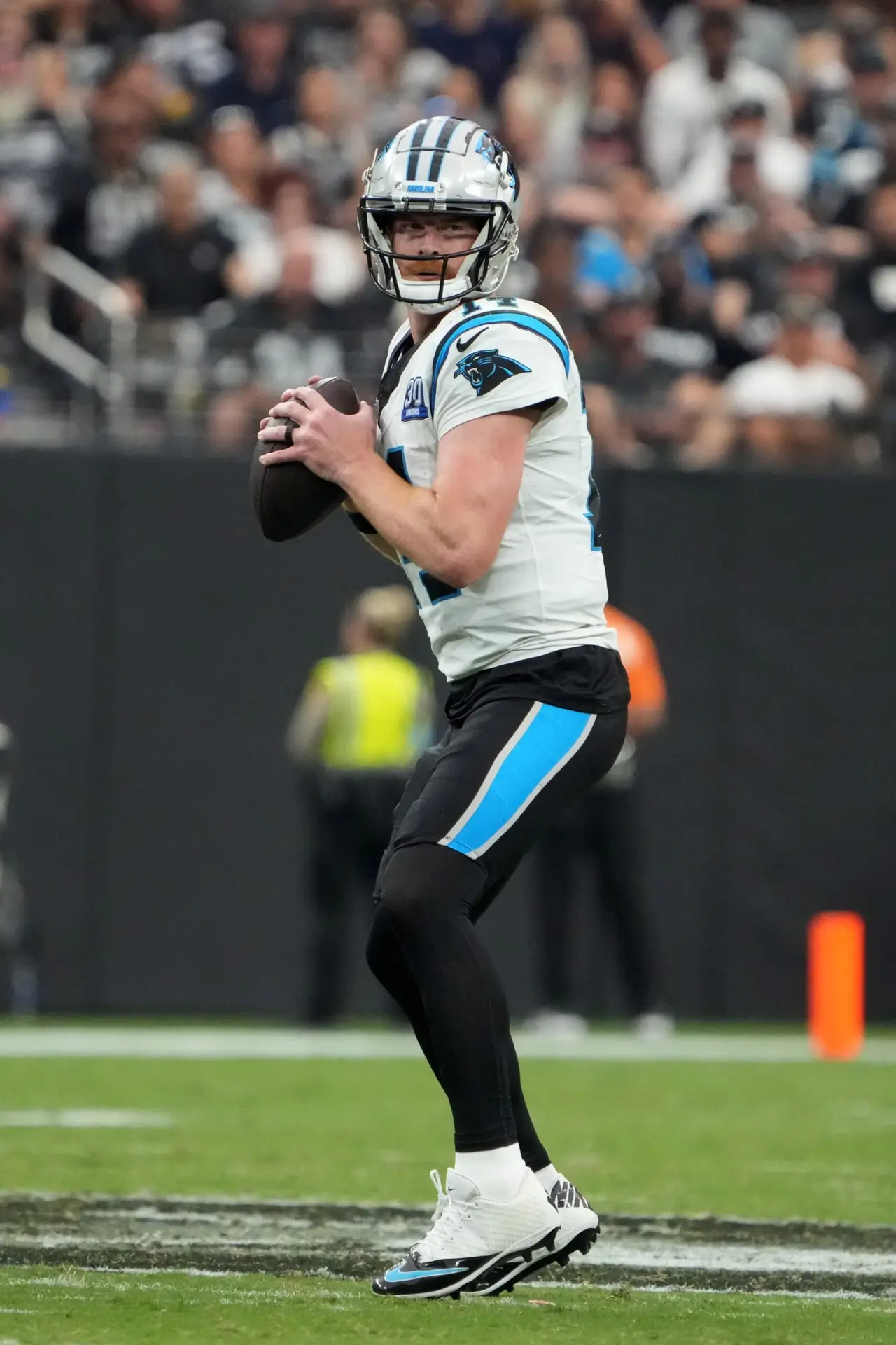 Carolina Panthers, Andy Dalton, NFL