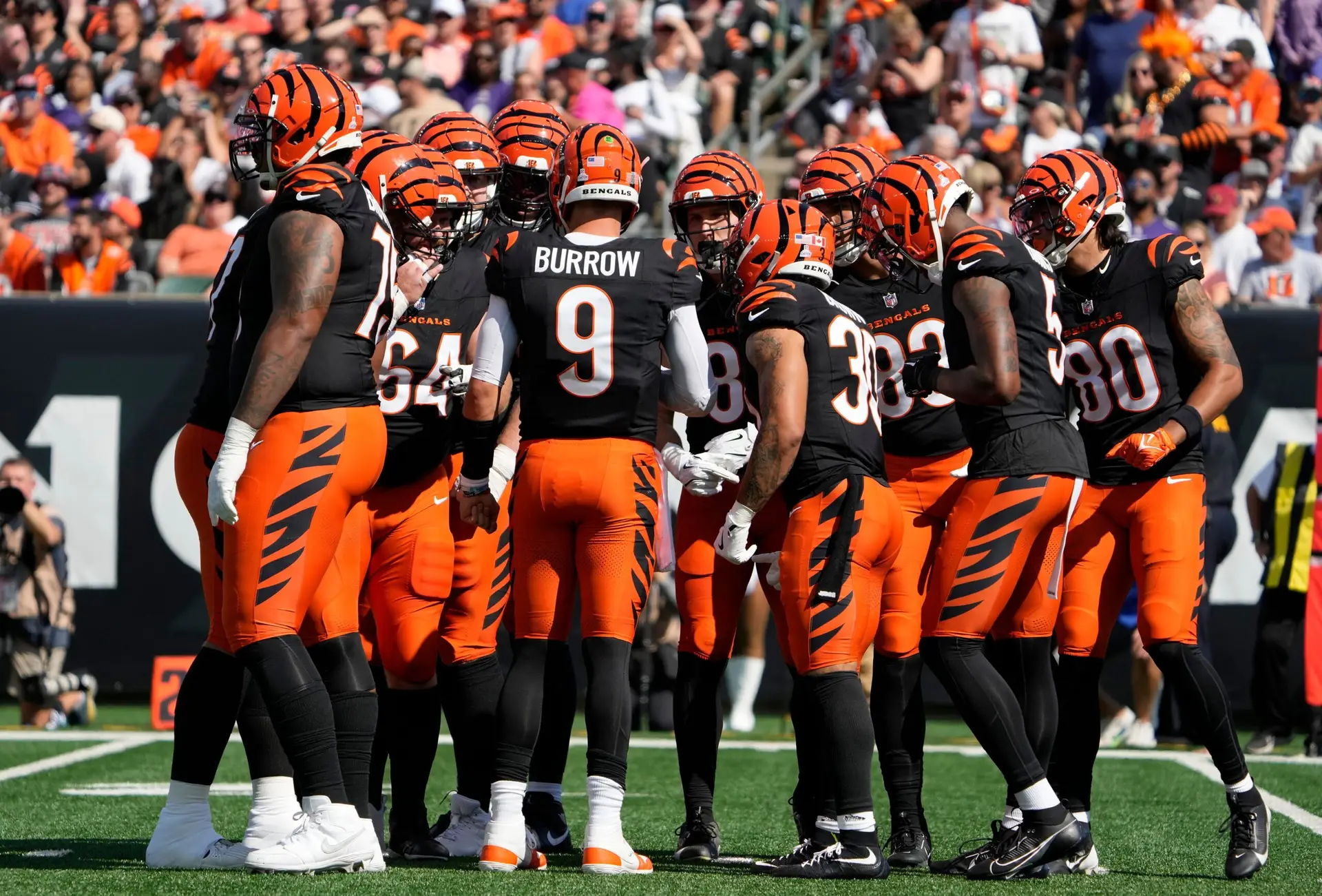 Cinncinati Bengals