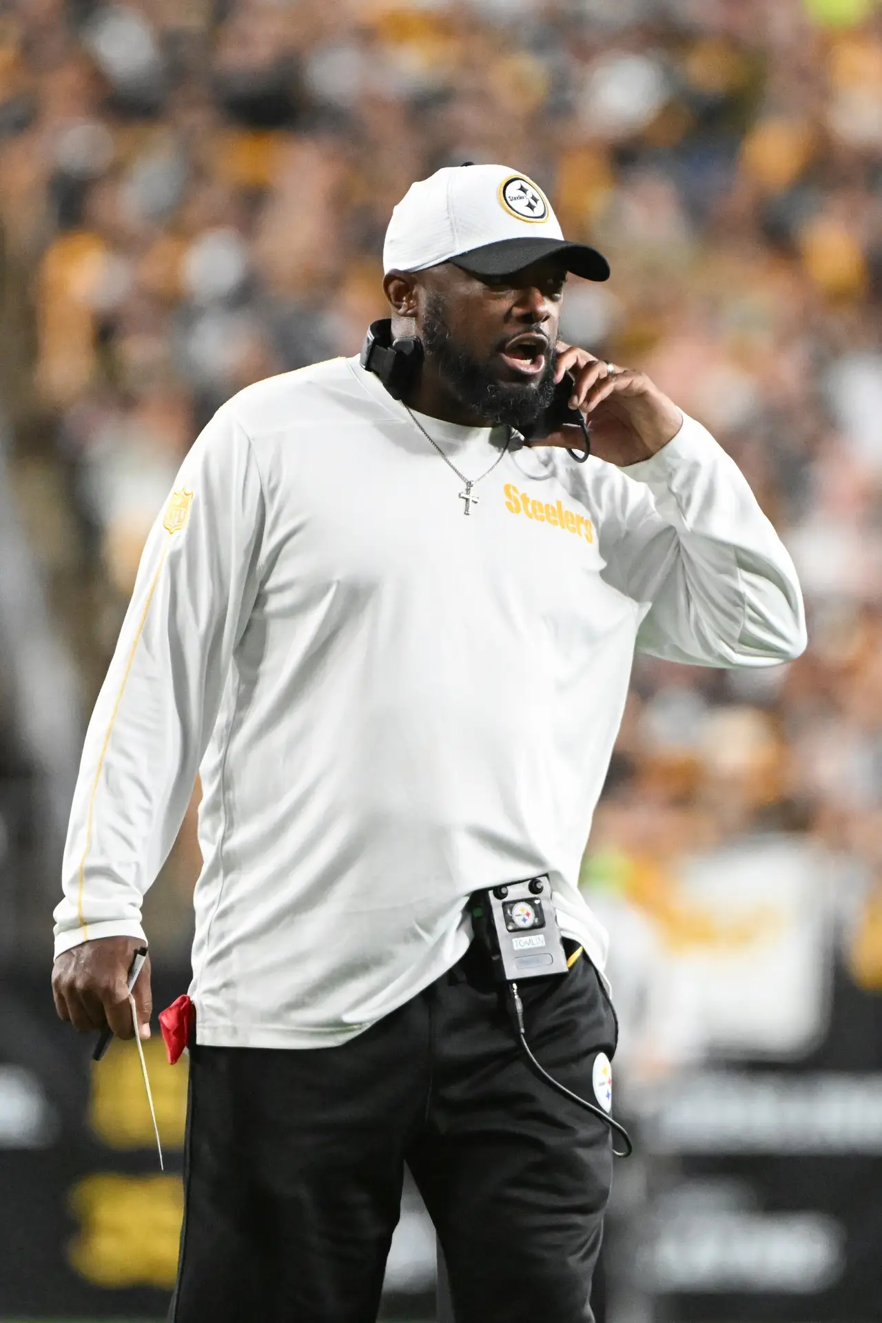 Pittsburgh Steelers, Mike Tomlin, NFL, ESPN