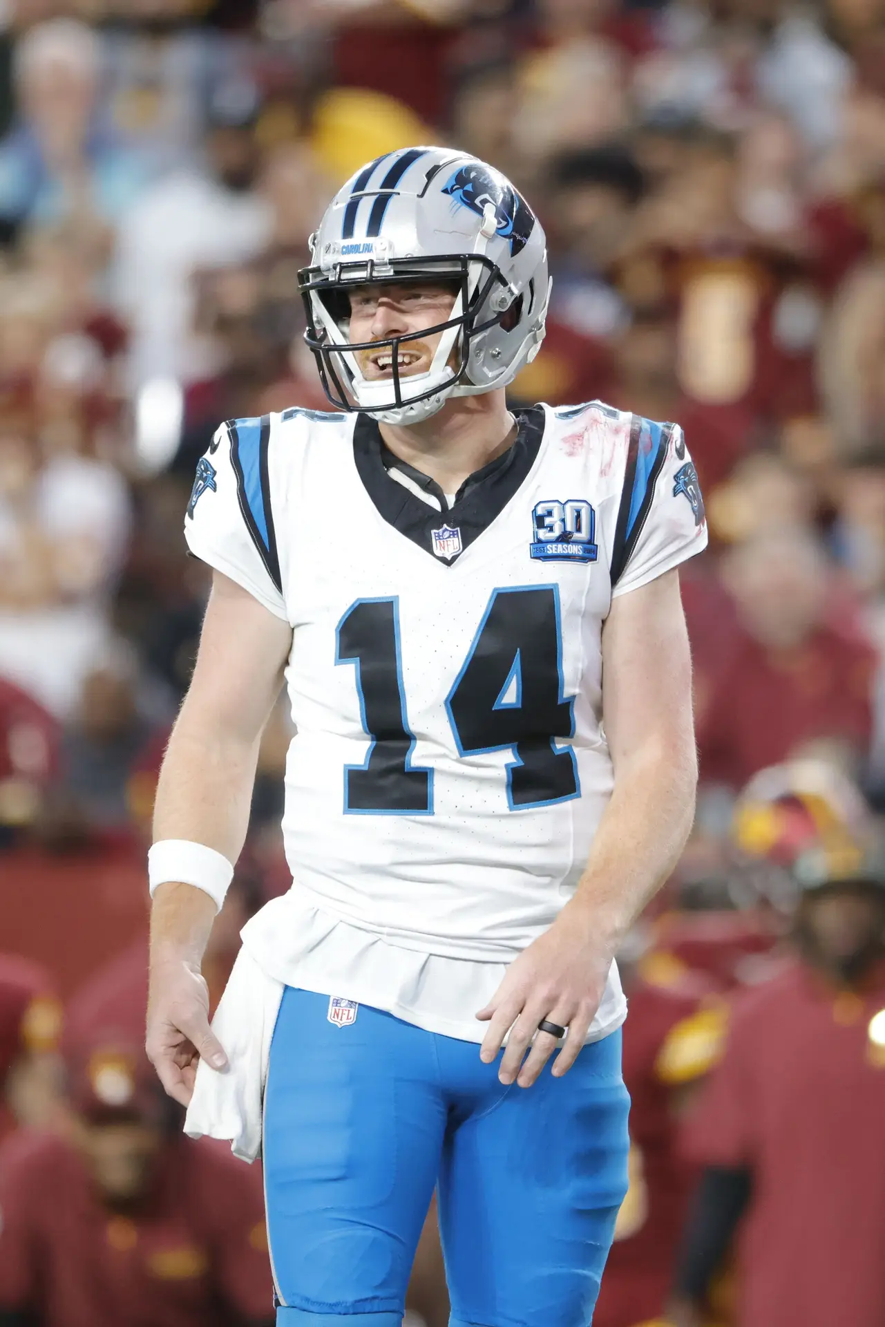 Carolina Panthers, Andy Dalton