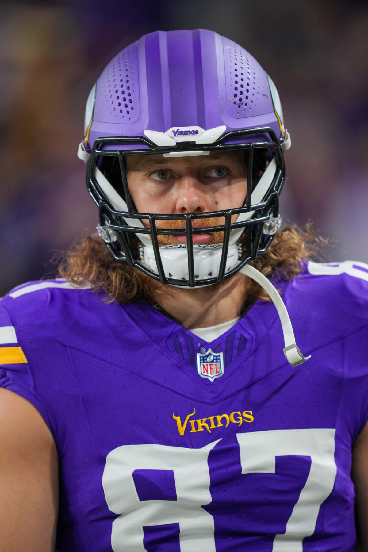 tj hockenson, minnesota vikings