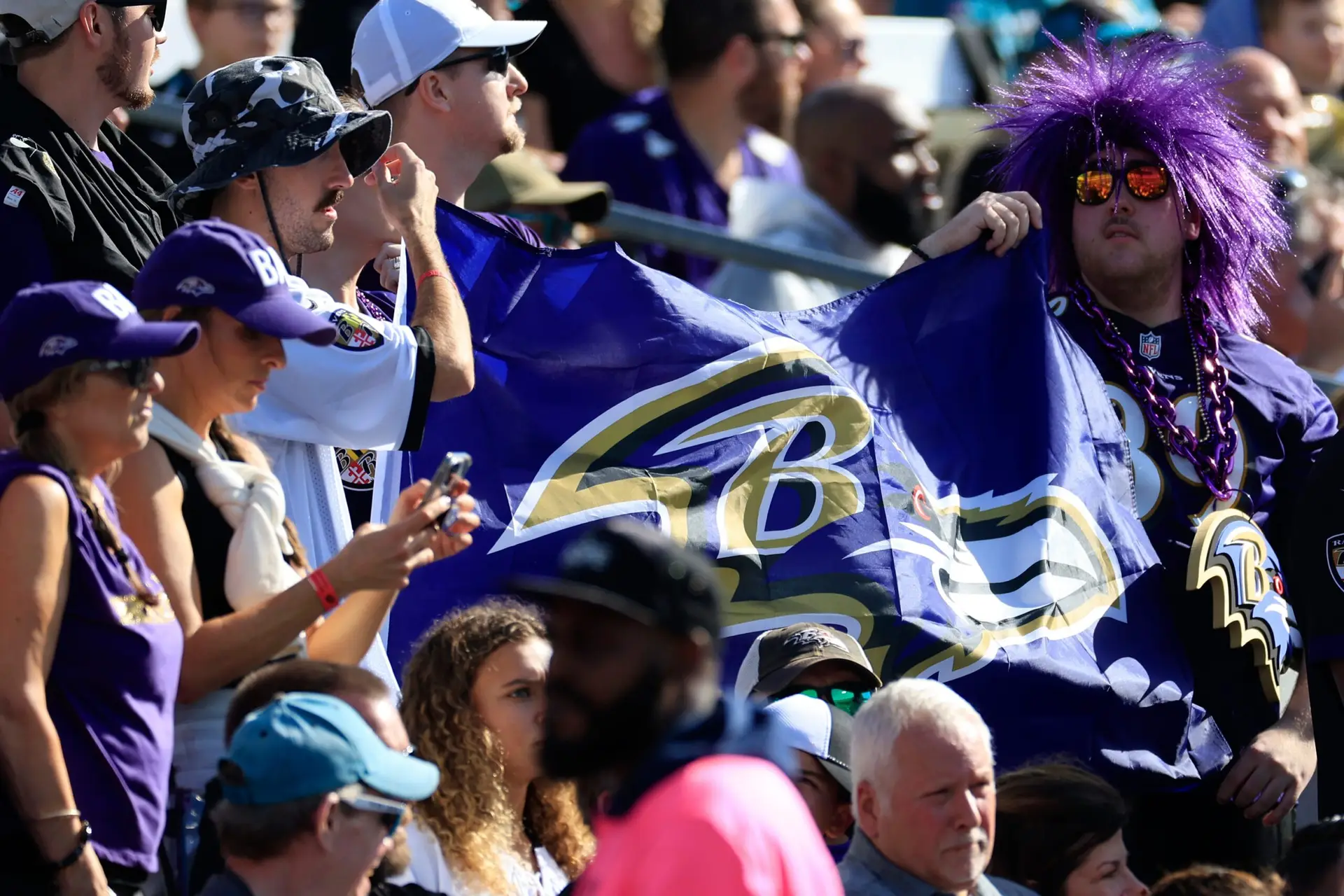 Baltimore Ravens, fans