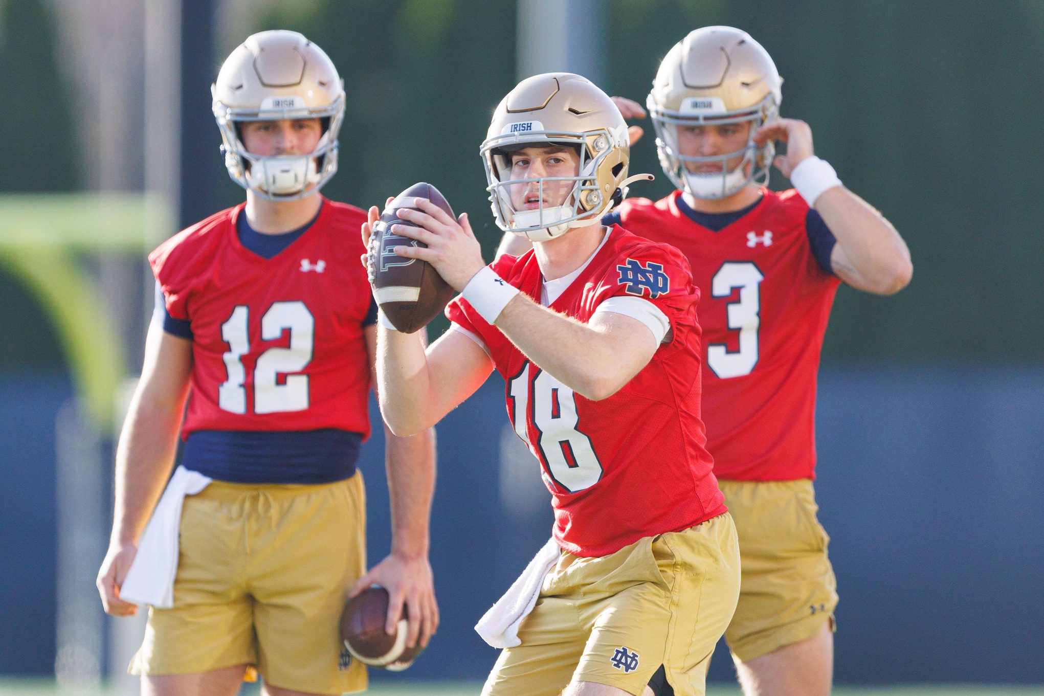 He's The Second Coming Of Joe Burrow": College Football Analyst Makes Bold Prediction About Notre Dame Fighting Irish Quarterback Steve Angeli - Gridiron Heroics