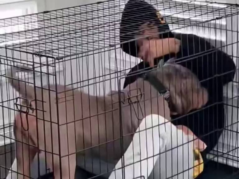 Buffalo Bills Star Keon Coleman Gets Trapped in $50K Dog Crate with Scooter as He Delivers Touchdowns and Laughs (Image via X/NFL_DovKleiman)